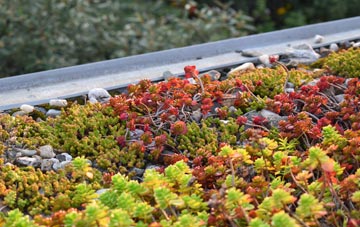 the cost of Norton Bavant green roof installation