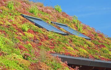 Norton Bavant living roof systems