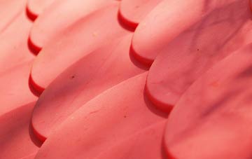 Norton Bavant plastic roof costs