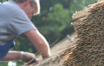 professional Norton Bavant thatchers