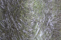 Norton Bavant fibreglass roof work