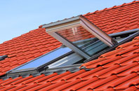 Norton Bavant roof window